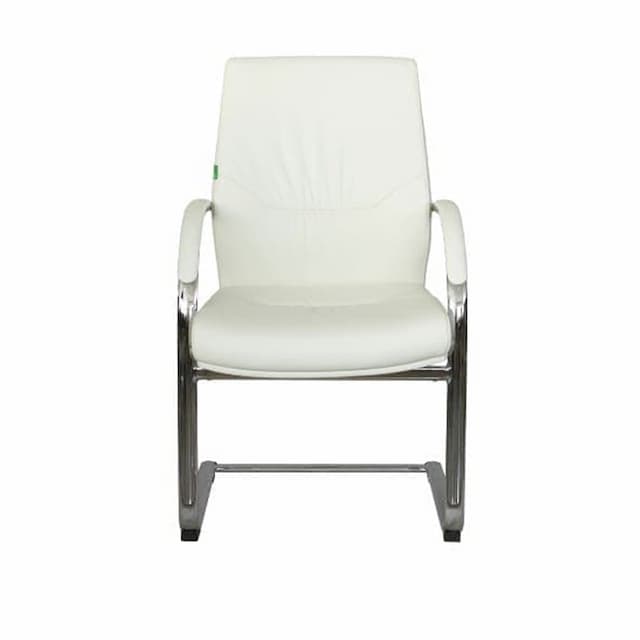 Кресло RV DESIGN Alvaro-SF C1815 Белый (6207)